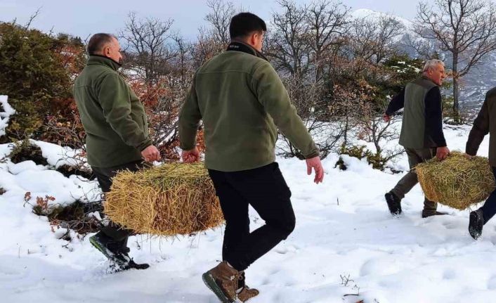 Elazığ’da yaban hayvanları için doğaya yem bırakıldı