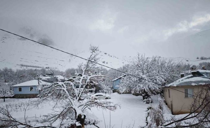 Elazığ’da yoğun kar yağışından dolayı ağaçlar devrildi