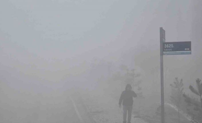 Elazığ’da yoğun sis etkili oldu, bir mahalle adeta kayboldu