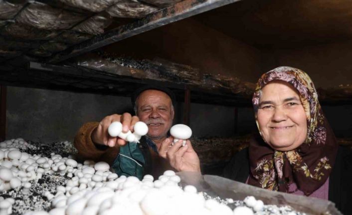 Emekli olunca hobisi ekmek teknesi oldu