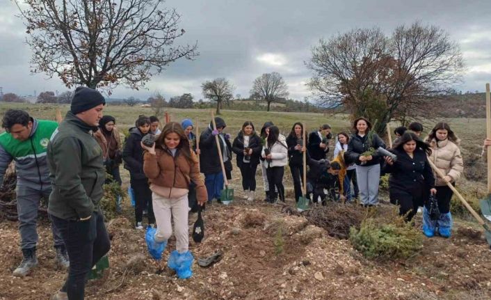 Emet’te fidan dikim etkinliği