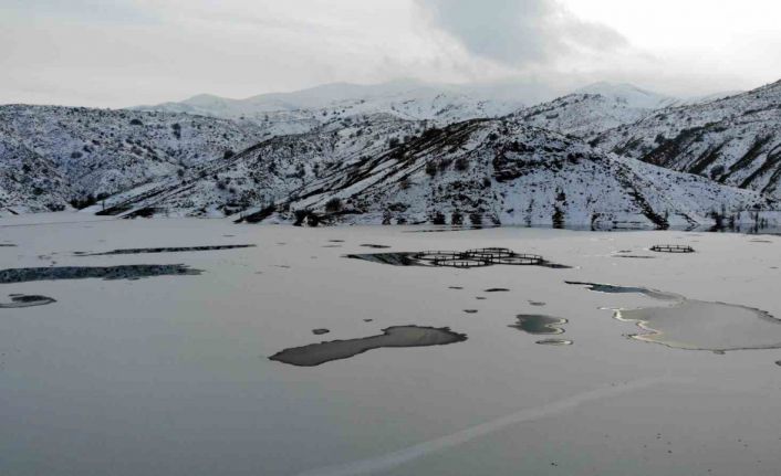 Erzincan’da soğuktan göller buz tuttu