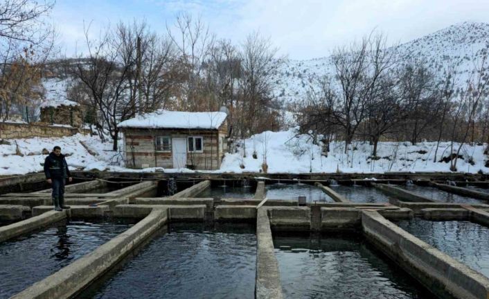 Erzincan’da tesis ve kuluçkahane denetimler sürüyor