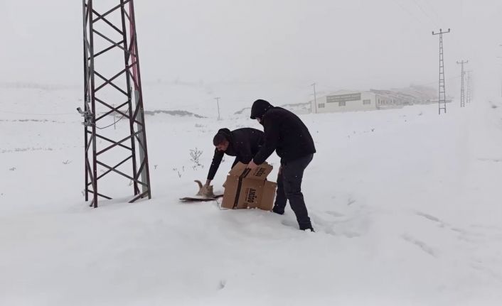 Erzurum polisinden yürekleri ısıtan hareketler