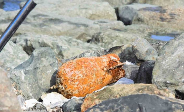 Fırtında dalgaların getirdiği deniz mühimmatı Rize’de karaya vurdu