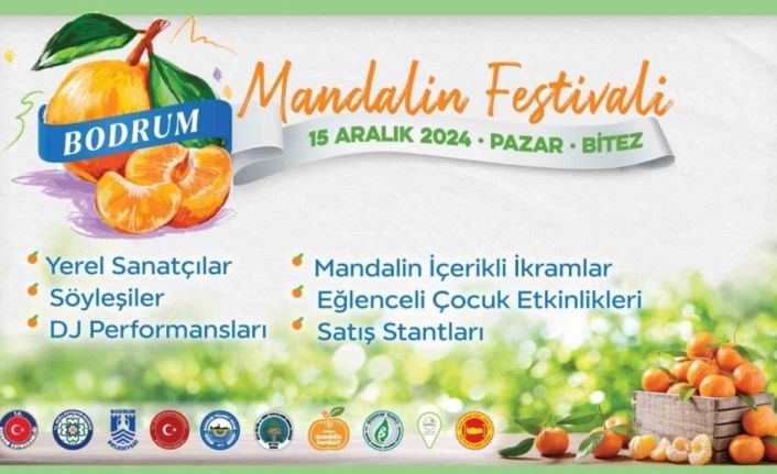 Geleneksel Bodrum Mandalin Festivali başlıyor