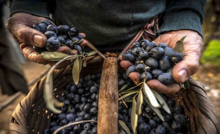 Gemlik’in en güzel fotoğraflarını belli oldu