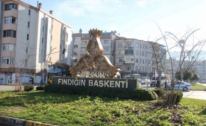 Giresun’da kavşaklar fındık ağaçları ile süslenecek