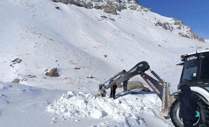 Hakkari 3 bin 500 rakımda zorlu çalışma