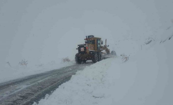 Hakkari’de 51 yerleşim yerinin yolu yeniden ulaşıma açıldı