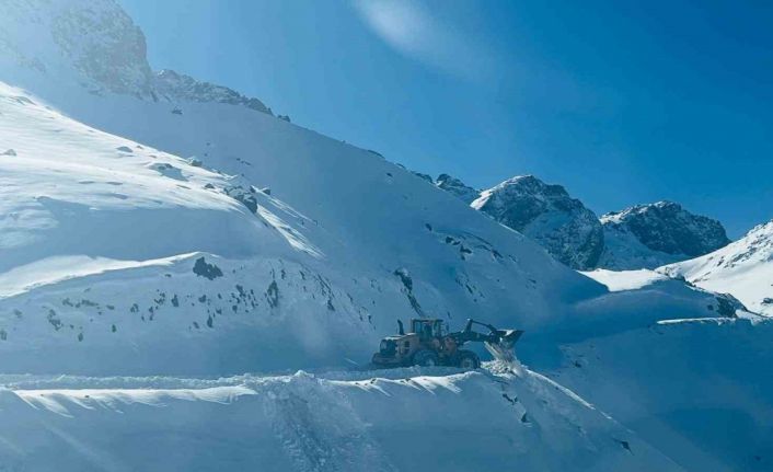 Hakkari’de karla mücadele çalışması