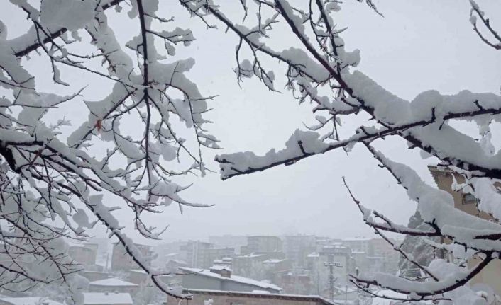 Hakkâri’de kar yağışı