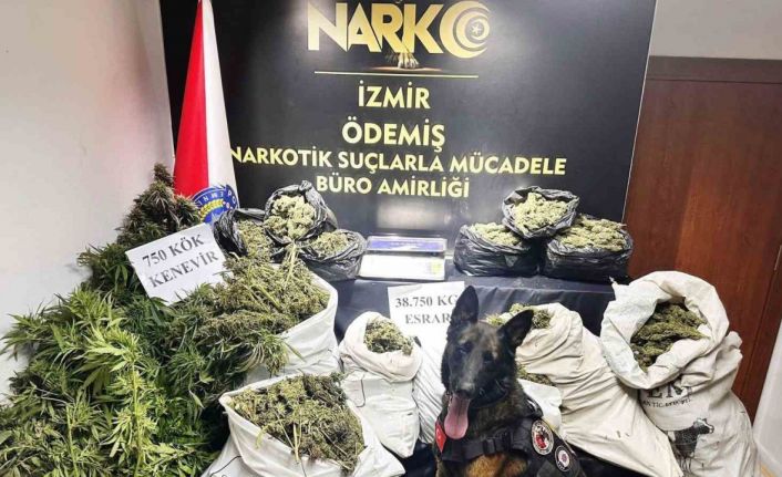 Hayvan damında uyuşturucu imalatı ve ticaretine polis operasyonu