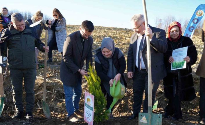 Her bebek bir fidan: Yeni doğan bebekler adına fidan diktiler