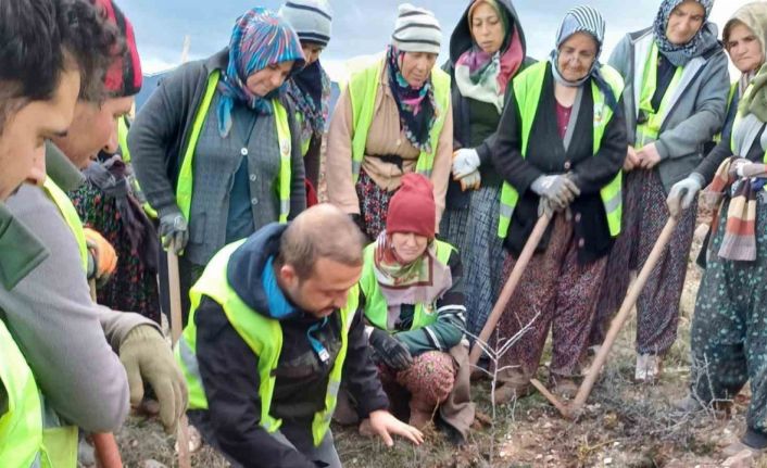 Hisarcık’ta 43 bin 300 fidan toprakla buluştu