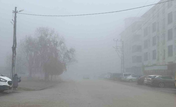 Iğdır’da yoğun sis etkili oldu