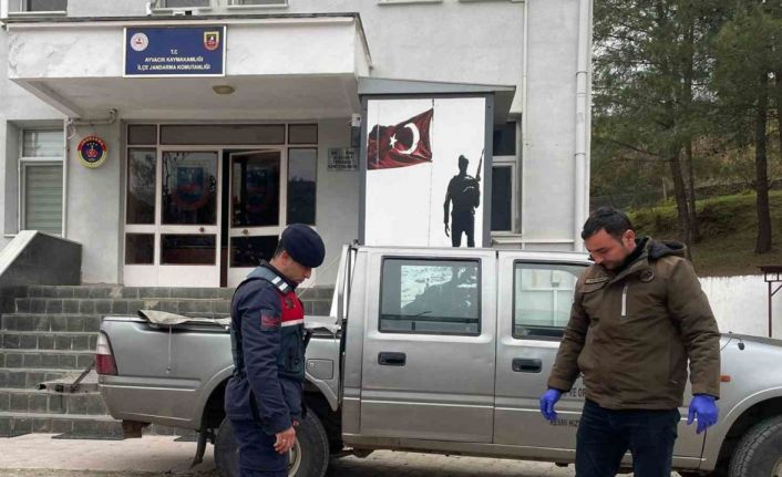 Jandarma, yaralı karacaya sahip çıktı