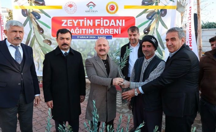 Kahta’da çiftçilere 70 bin zeytin fidanı dağıtıldı