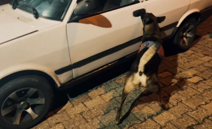Kapıya gizlenen uyuşturucu narkotik köpeğinden kaçmadı