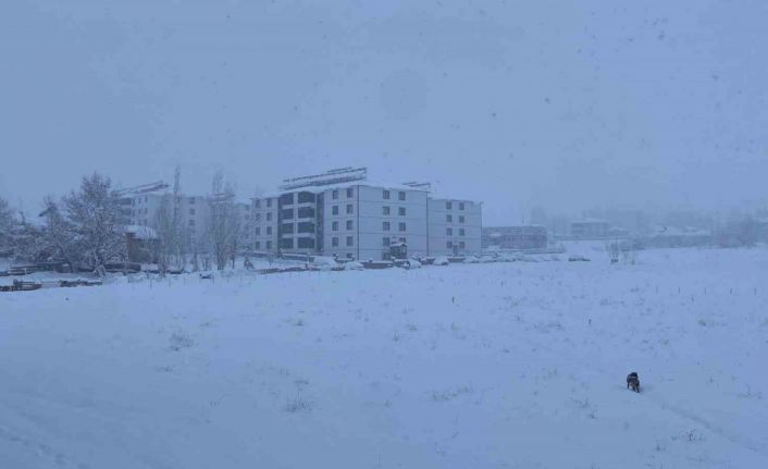 Kar, bir ilçenin tüm köy yollarını ulaşıma kapattı