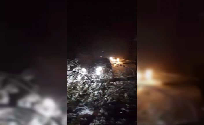 Kar nedeniyle ağaçlar devrildi, karayolunda ulaşım aksadı