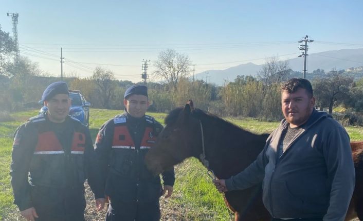 Kaybolan rahvan atı, jandarma ekiplerince bulundu