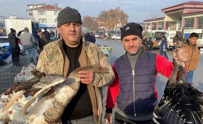 Kaz tüketimi arabaşına bağlı