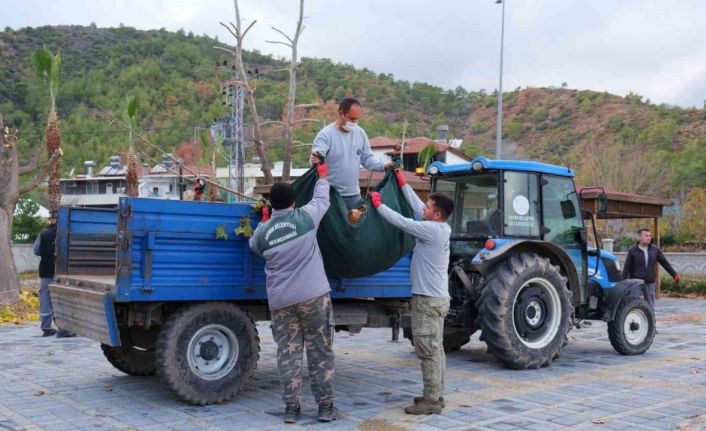 Kemer’de bahçe atıkları toplama programı başladı