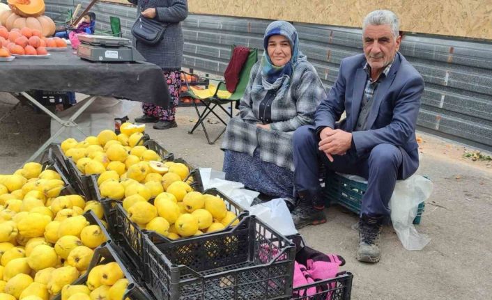 Kendi bahçesinde yetiştirdikleri ayvaları satarak 7 çocuk okuttular