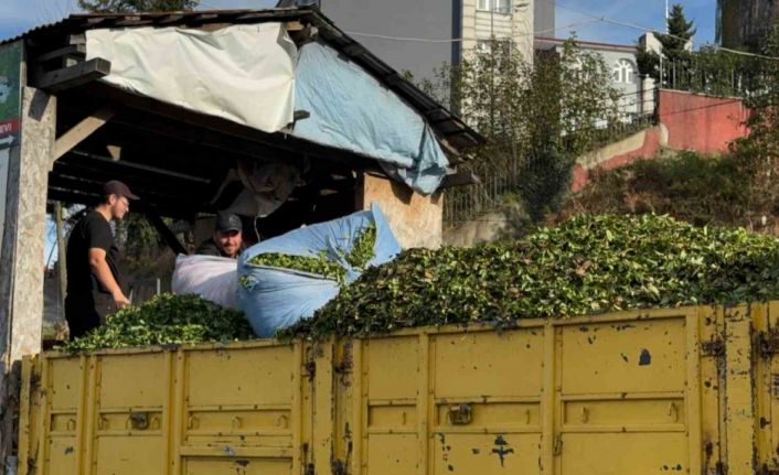 Kış geldi, çay sezonu bitmedi