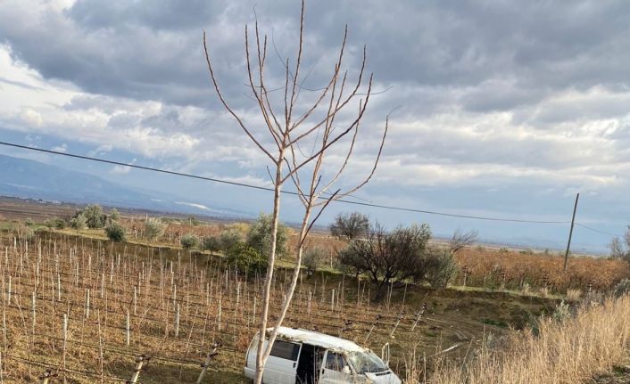 Kontrolden çıkan araç üzüm bağına uçtu