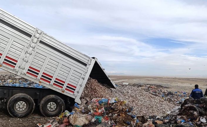 Konya’da tır dolusu kokmuş balık yakalandı