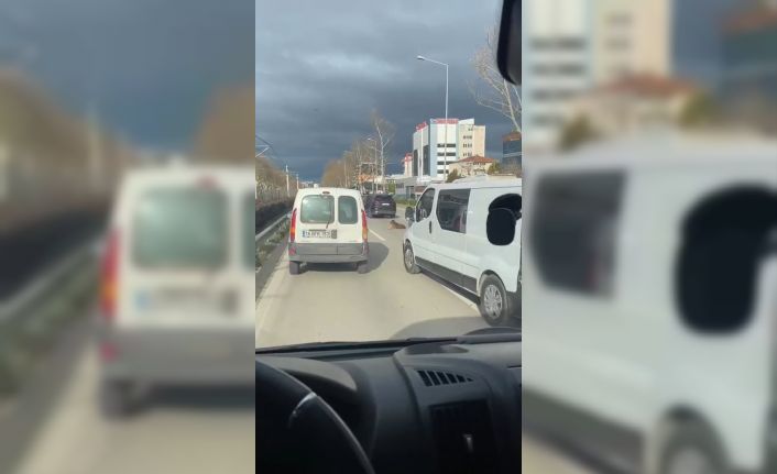 Köpeğin keyfi trafiğe kilitledi