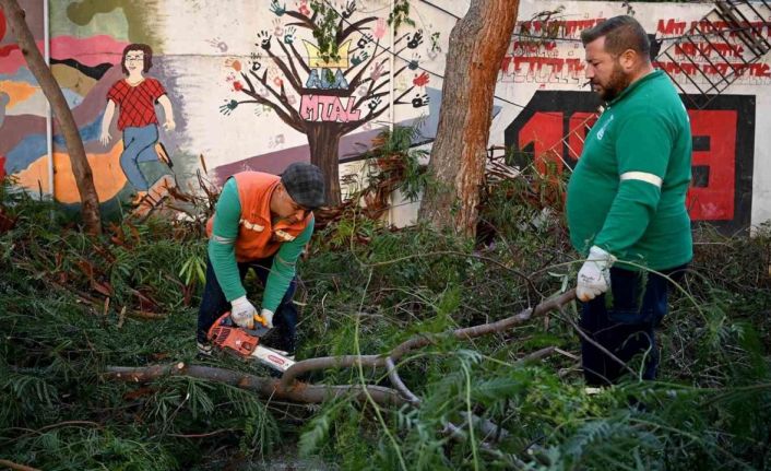 Kuşadası’nda ağaç atıkları ihtiyaç sahipleri için yakacağa dönüşüyor