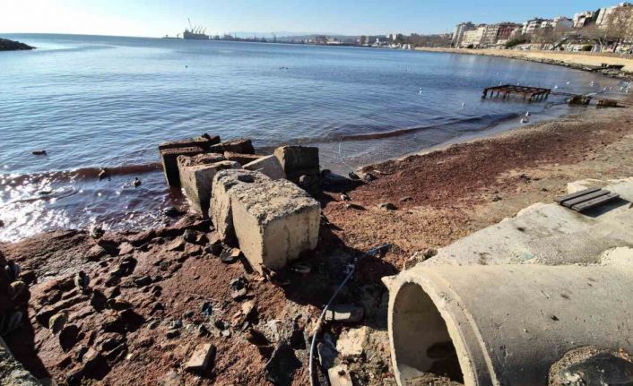 Marmara Denizi’nde lodos sonrası kıyılara kızıl yosun vurdu