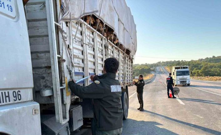 Mersin’de orman suçlarına karşı denetimler sürüyor