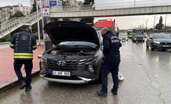 Motora saklanan kedi 13 kilometre yol gitti