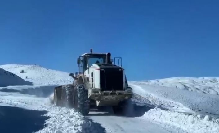 Muş’ta kar ve tipi nedeniyle kapanan köy yolları ulaşıma açıldı