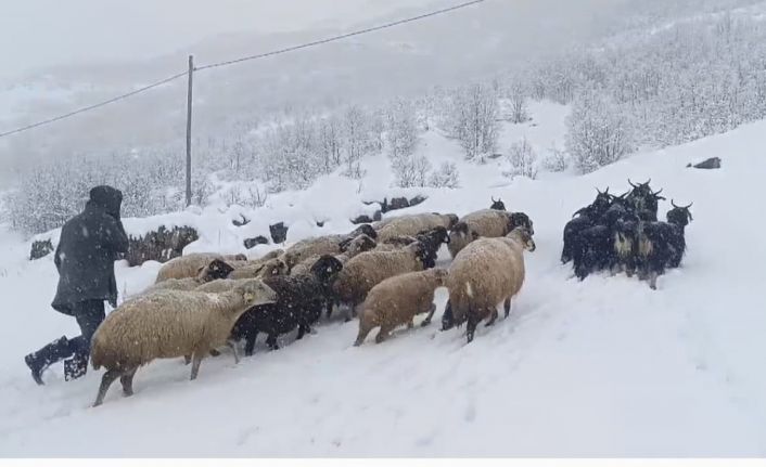 Muş’ta kar yağışı çiftçilerin hayatını olumsuz etkiledi