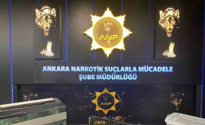 Narkogüç operasyonları kapsamında 1 kişi yakalandı