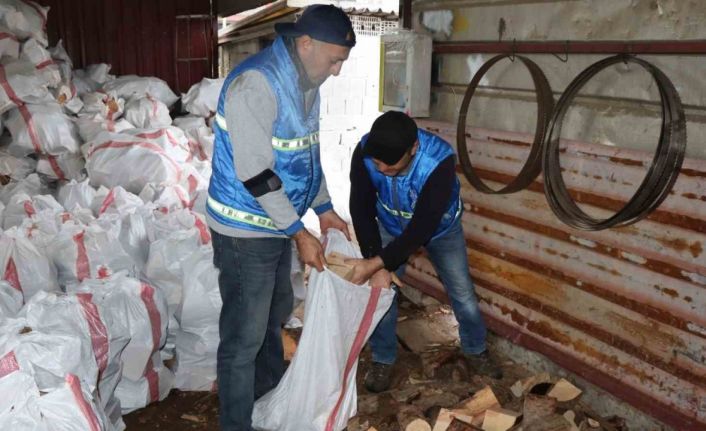 Nazilli’de devrilen ağaçlar yakacak olarak kullanılacak