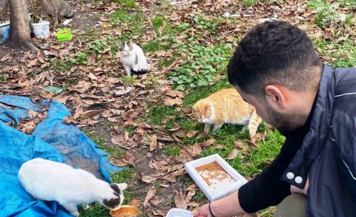 Öğrencilerden sokak hayvanlarına şefkat