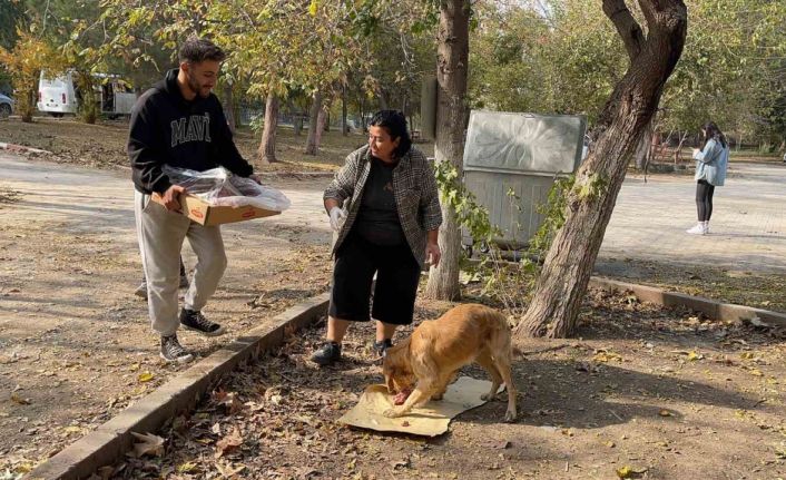 Osmaniye’de sokak hayvanları için doğaya yem bırakıldı