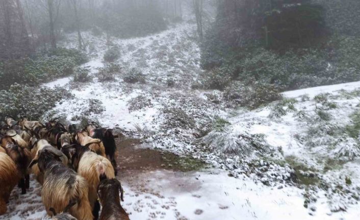 Sakarya’nın yüksek kesimlerinde kar yağışı