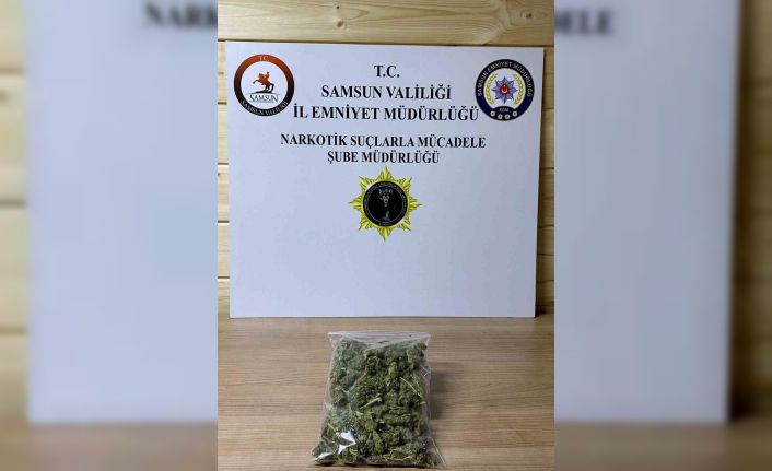 Samsun’da 142,5 gram skunk ele geçirildi