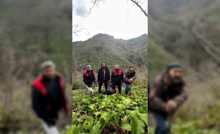Samsun’da ava çıkan şahsın cansız bedeni bulundu