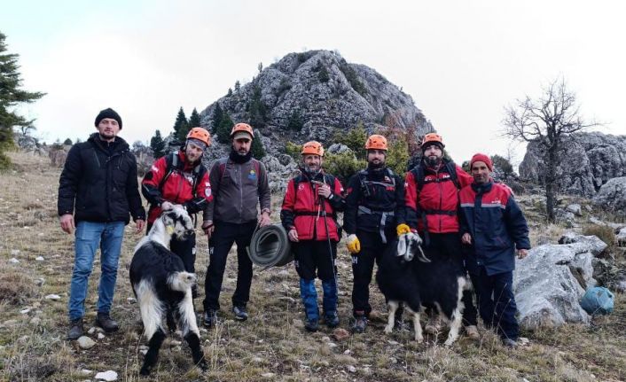 Sarp kayalıklarda keçi kurtarma operasyonu