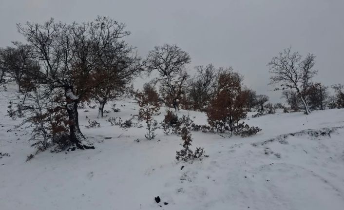 Selendi’de kar yağışı vatandaşların yüzünü güldürdü