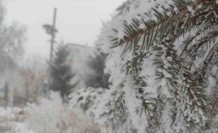 Sibirya soğukları Ardahan’ı dondurdu