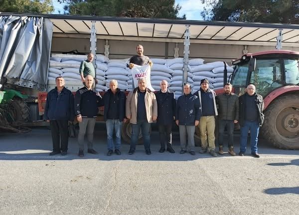 Silivri’de üreticilere 94 ton kuzu yemi dağıtıldı